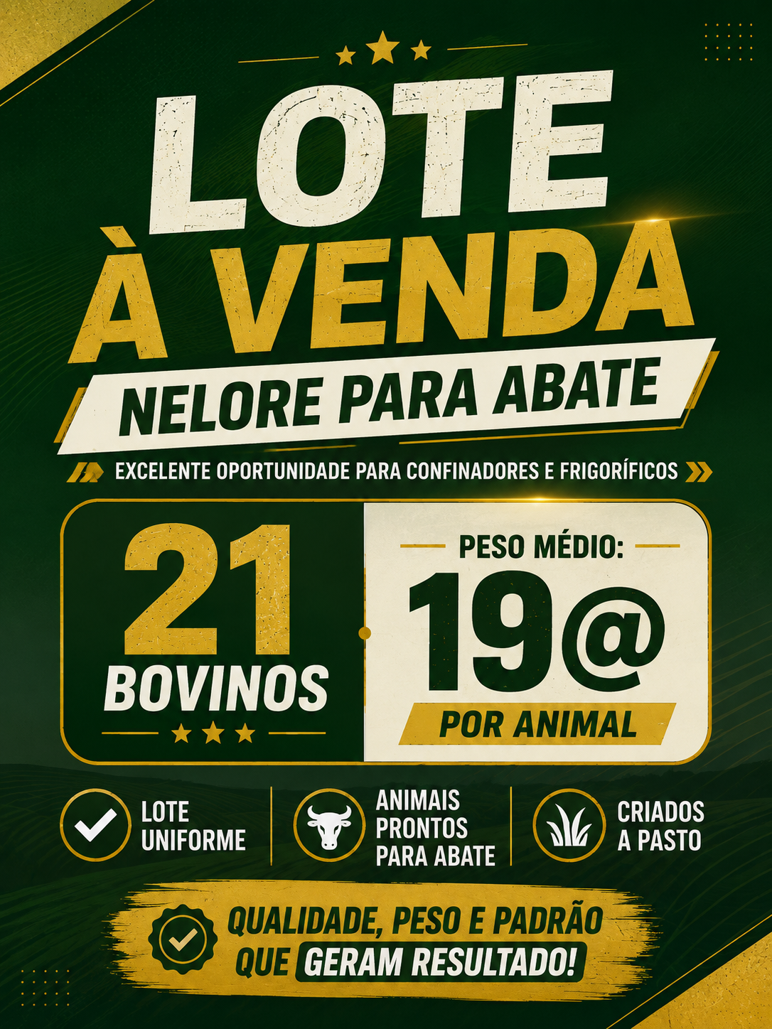 Lote com 21 bovinos Nelore para abate – Média de 19 arrobas