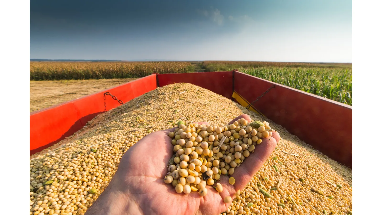 Exportações do agronegócio brasileiro somam US$ 133,6 bilhões até setembro de 2026