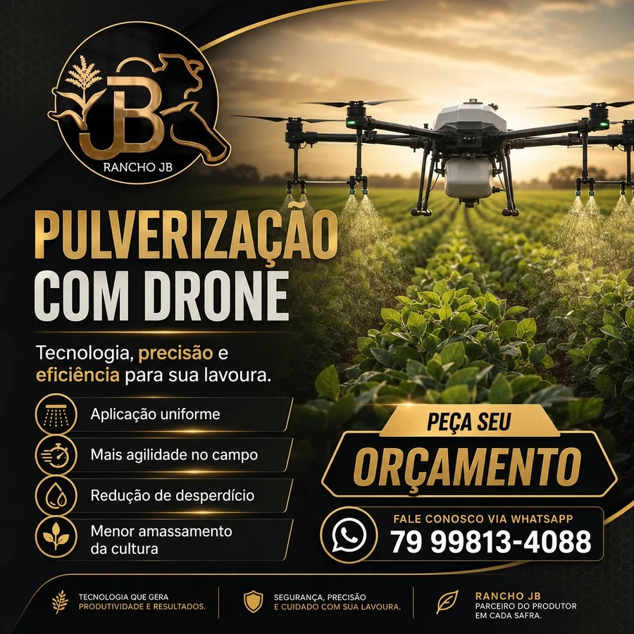 Foto de Marcelo Costa